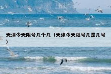 天津今天限号几个几（天津今天限号几是几号）