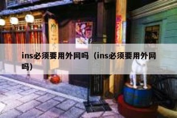 ins必须要用外网吗（ins必须要用外网吗）