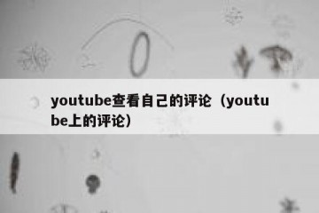 youtube查看自己的评论（youtube上的评论）