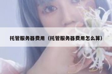 托管服务器费用（托管服务器费用怎么算）