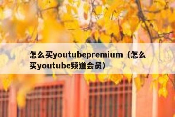 怎么买youtubepremium（怎么买youtube频道会员）