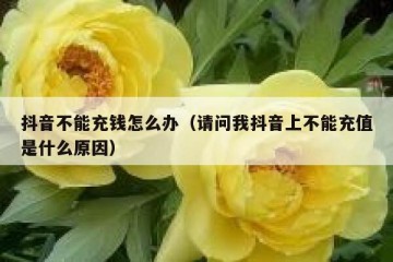 抖音不能充钱怎么办（请问我抖音上不能充值是什么原因）