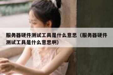 服务器硬件测试工具是什么意思（服务器硬件测试工具是什么意思啊）