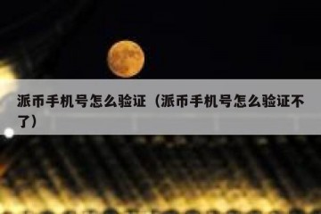 派币手机号怎么验证（派币手机号怎么验证不了）