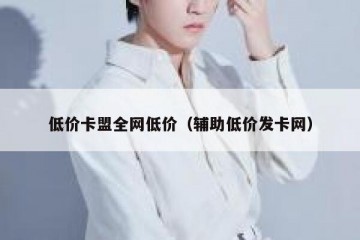 低价卡盟全网低价（辅助低价发卡网）