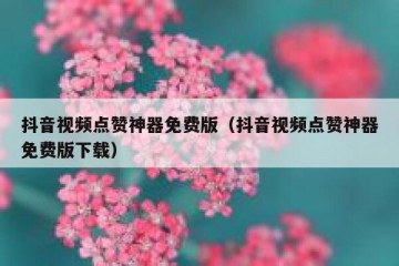 抖音视频点赞神器免费版（抖音视频点赞神器免费版下载）