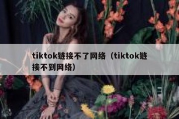 tiktok链接不了网络（tiktok链接不到网络）