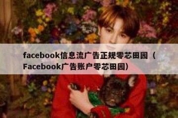 facebook信息流广告正规零芯田园（Facebook广告账户零芯田园）