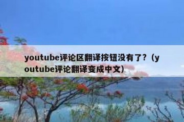 youtube评论区翻译按钮没有了?（youtube评论翻译变成中文）