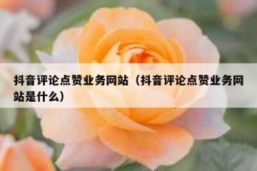 抖音评论点赞业务网站（抖音评论点赞业务网站是什么）