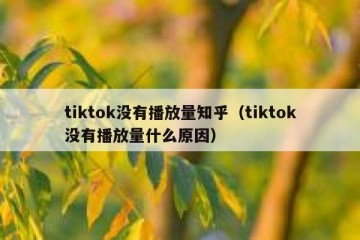 tiktok没有播放量知乎（tiktok没有播放量什么原因）