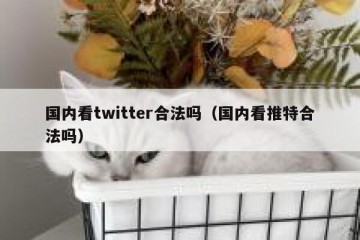 国内看twitter合法吗（国内看推特合法吗）