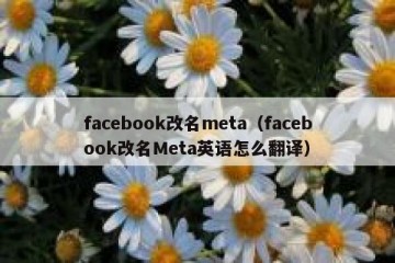 facebook改名meta（facebook改名Meta英语怎么翻译）