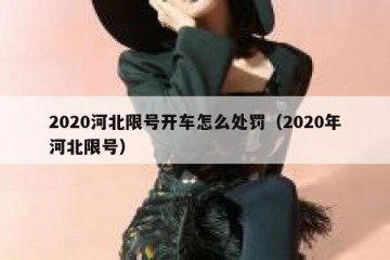 2020河北限号开车怎么处罚（2020年河北限号）