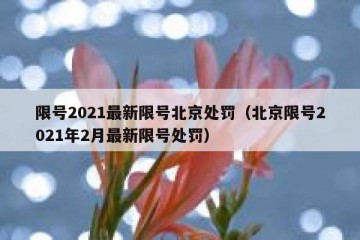 限号2021最新限号北京处罚（北京限号2021年2月最新限号处罚）