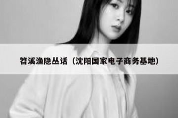 笤溪渔隐丛话（沈阳国家电子商务基地）