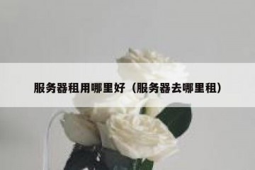 服务器租用哪里好（服务器去哪里租）