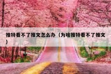 推特看不了推文怎么办（为啥推特看不了推文）
