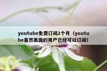 youtube免费订阅2个月（youtube虽然美国的用户已经可以订阅）