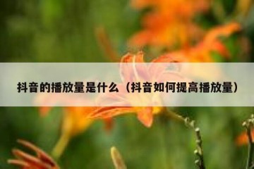 抖音的播放量是什么（抖音如何提高播放量）