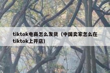 tiktok电商怎么发货（中国卖家怎么在tiktok上开店）