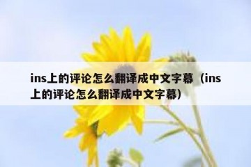 ins上的评论怎么翻译成中文字幕（ins上的评论怎么翻译成中文字幕）