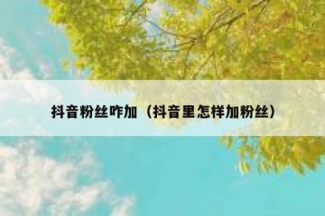 抖音粉丝咋加（抖音里怎样加粉丝）