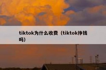 tiktok为什么收费（tiktok挣钱吗）