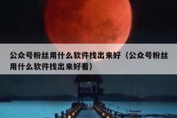 公众号粉丝用什么软件找出来好（公众号粉丝用什么软件找出来好看）