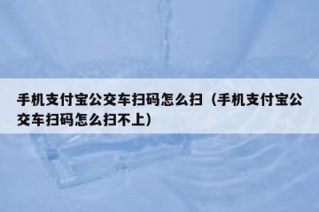 手机支付宝公交车扫码怎么扫（手机支付宝公交车扫码怎么扫不上）