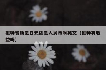 推特赞助是日元还是人民币啊英文（推特有收益吗）