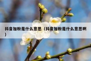 抖音加粉是什么意思（抖音加粉是什么意思啊）