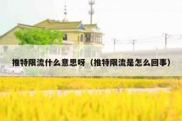 推特限流什么意思呀（推特限流是怎么回事）