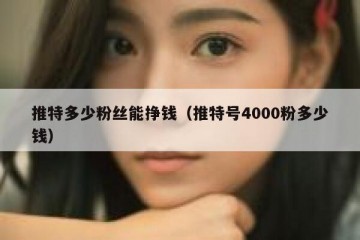 推特多少粉丝能挣钱（推特号4000粉多少钱）
