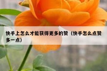 快手上怎么才能获得更多的赞（快手怎么点赞多一点）