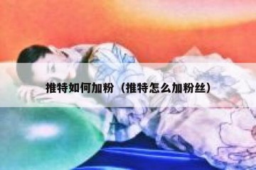 推特如何加粉（推特怎么加粉丝）