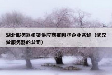 湖北服务器机架供应商有哪些企业名称（武汉做服务器的公司）