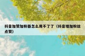抖音加赞加粉器怎么用不了了（抖音增加粉丝点赞）