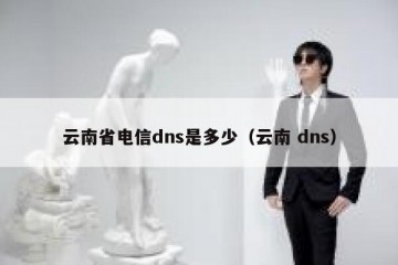 云南省电信dns是多少（云南 dns）