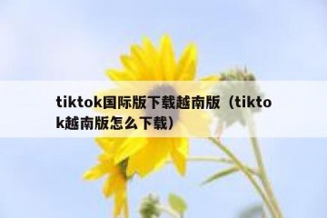 tiktok国际版下载越南版（tiktok越南版怎么下载）