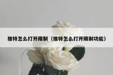 推特怎么打开限制（推特怎么打开限制功能）