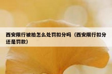 西安限行被拍怎么处罚扣分吗（西安限行扣分还是罚款）