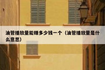 油管播放量能赚多少钱一个（油管播放量是什么意思）