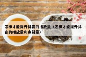 怎样才能提升抖音的播放量（怎样才能提升抖音的播放量和点赞量）