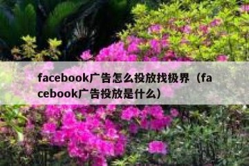 facebook广告怎么投放找极界（facebook广告投放是什么）