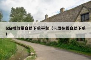 b站播放量自助下单平台（卡盟在线自助下单）