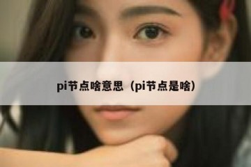 pi节点啥意思（pi节点是啥）