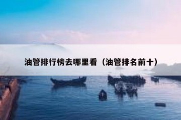 油管排行榜去哪里看（油管排名前十）