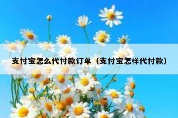支付宝怎么代付款订单（支付宝怎样代付款）