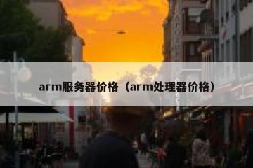 arm服务器价格（arm处理器价格）